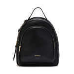 Coccinelle - E1R1K140201-